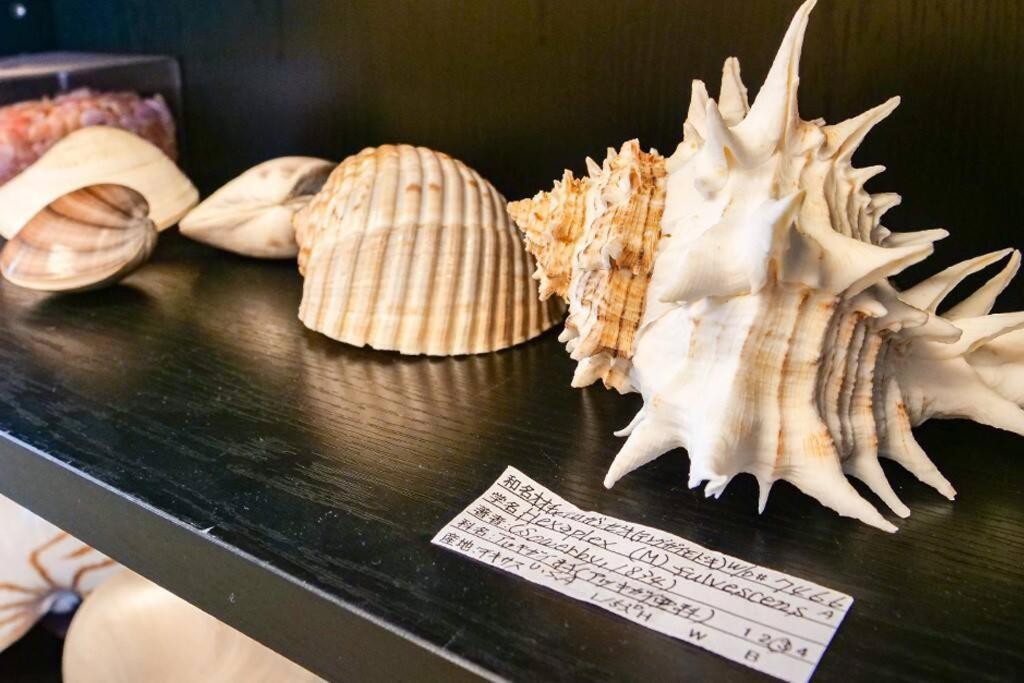 Kodaka Hotel 東京都 エクステリア 写真